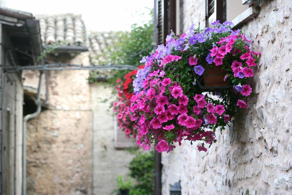 Hotel Palazzo Brunamonti Bevagna Exterior photo