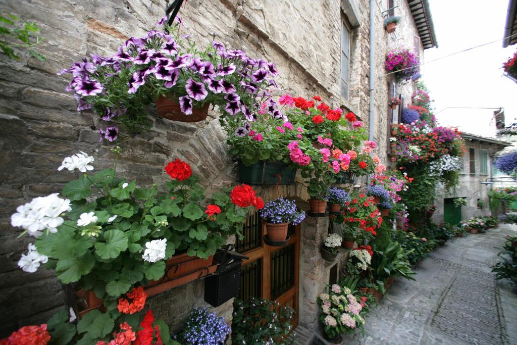 Hotel Palazzo Brunamonti Bevagna Exterior photo